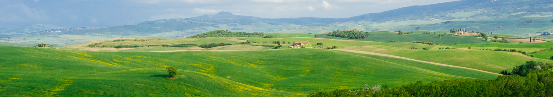 Prosciutteria Trascinelli - colline di Parma