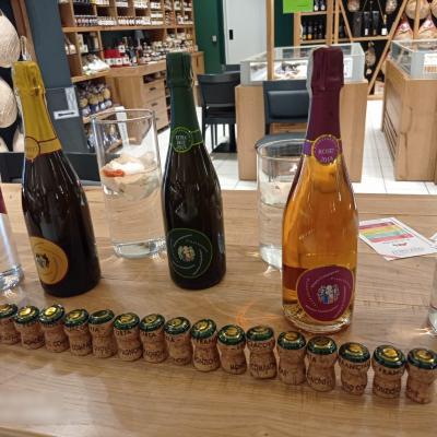 22 luglio 2021 - Storie di Vini e Sapori